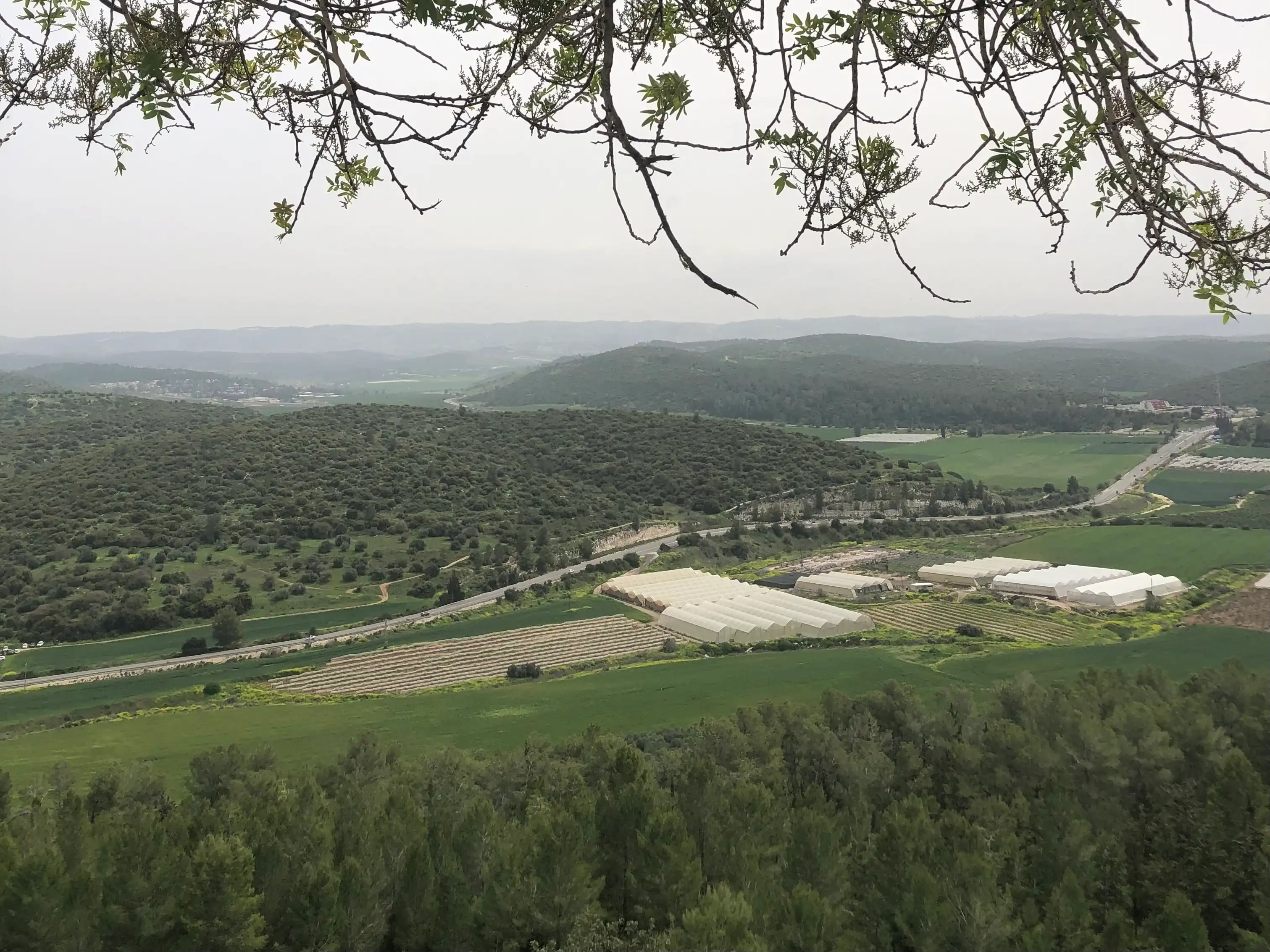 Tel Azecá / Khirbet Qeiyafa / Valle de Elá